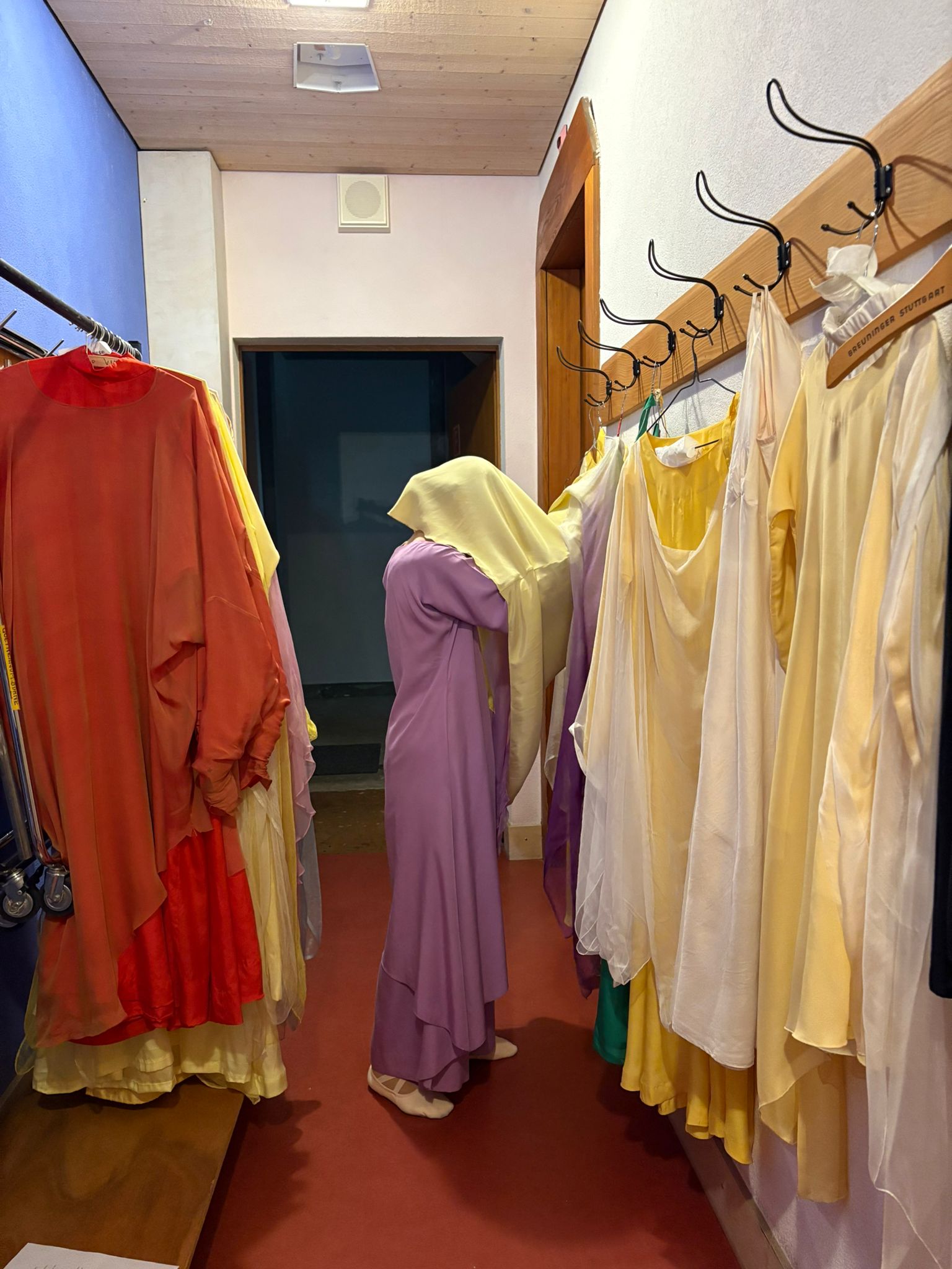 Dornach — Febbraio 2026 - foto