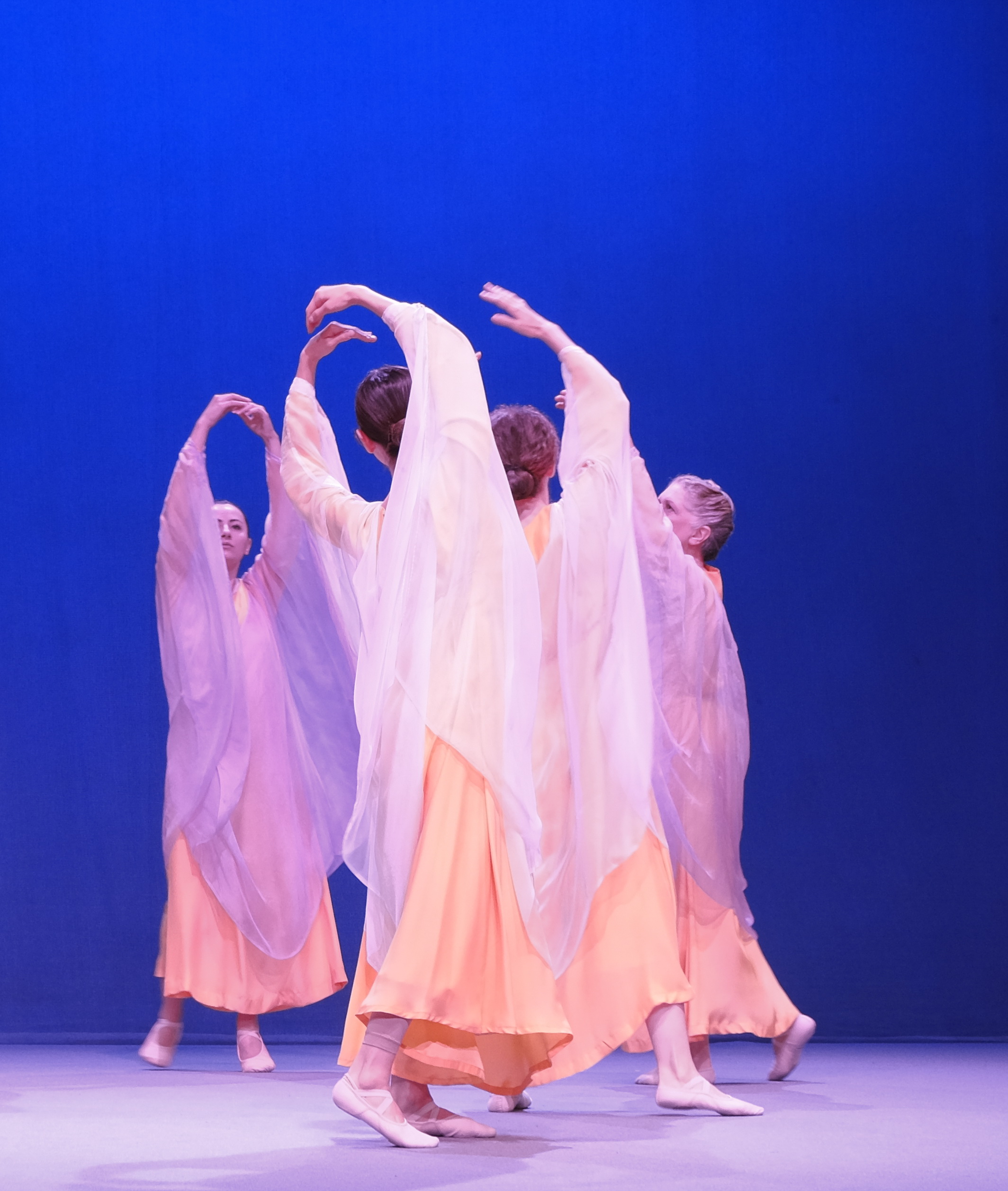 Olimpiadi Dornach 2024 - foto