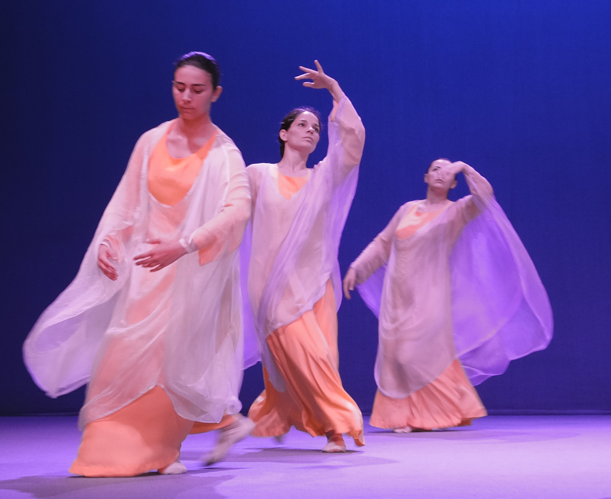 Olimpiadi Dornach 2024 - foto