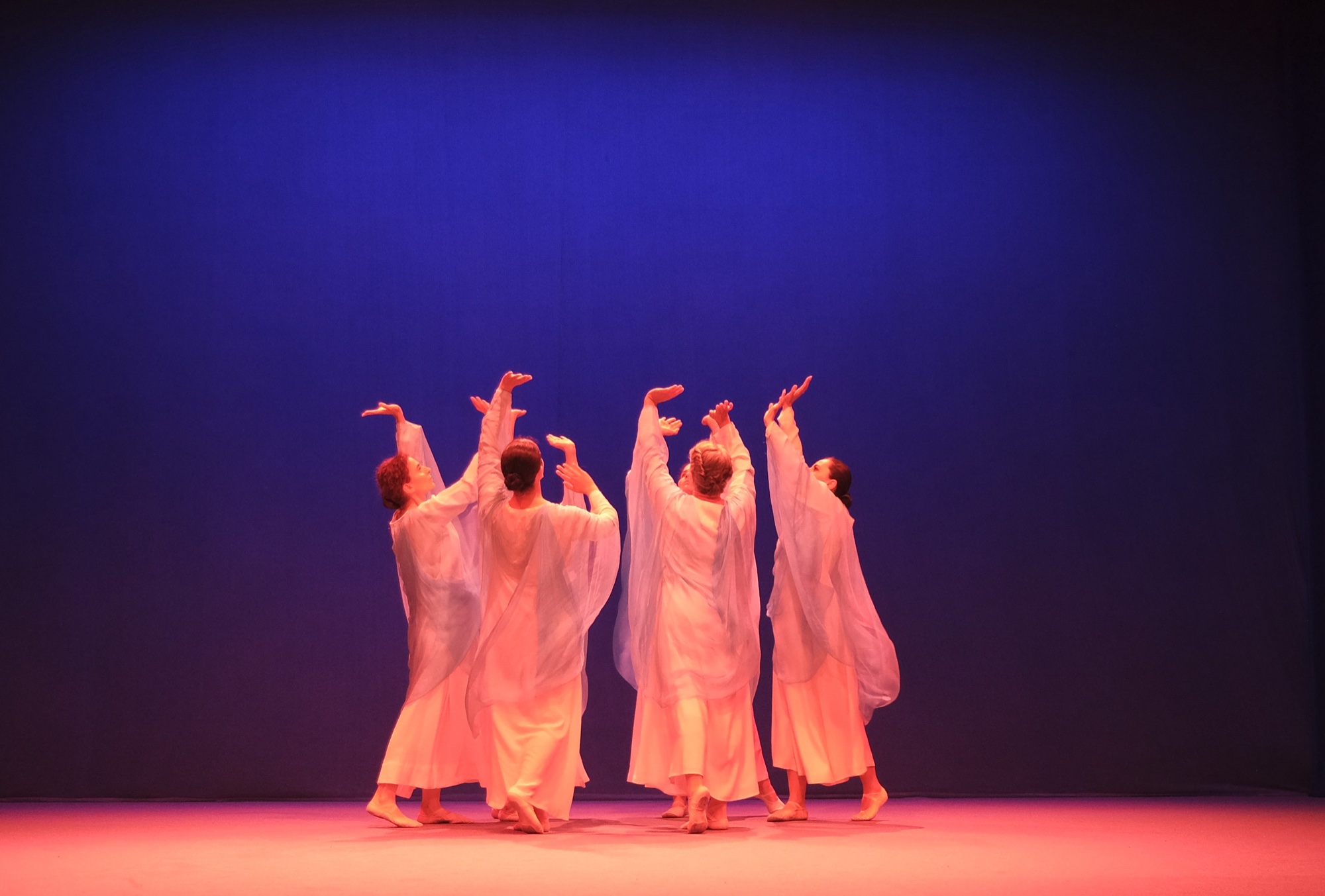 Olimpiadi Dornach 2024 - foto